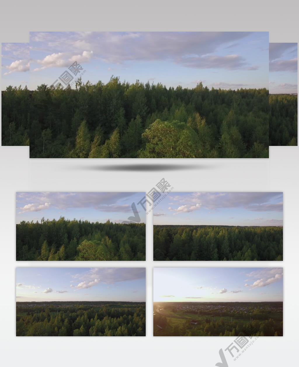 航拍蓝天白云下的森林美景实拍