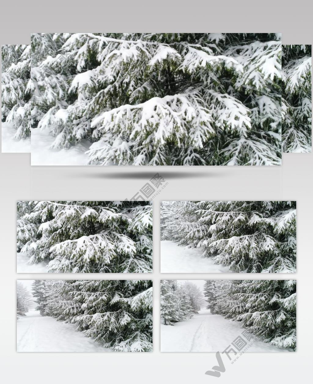 冬季森林覆盖的雪路实拍视频