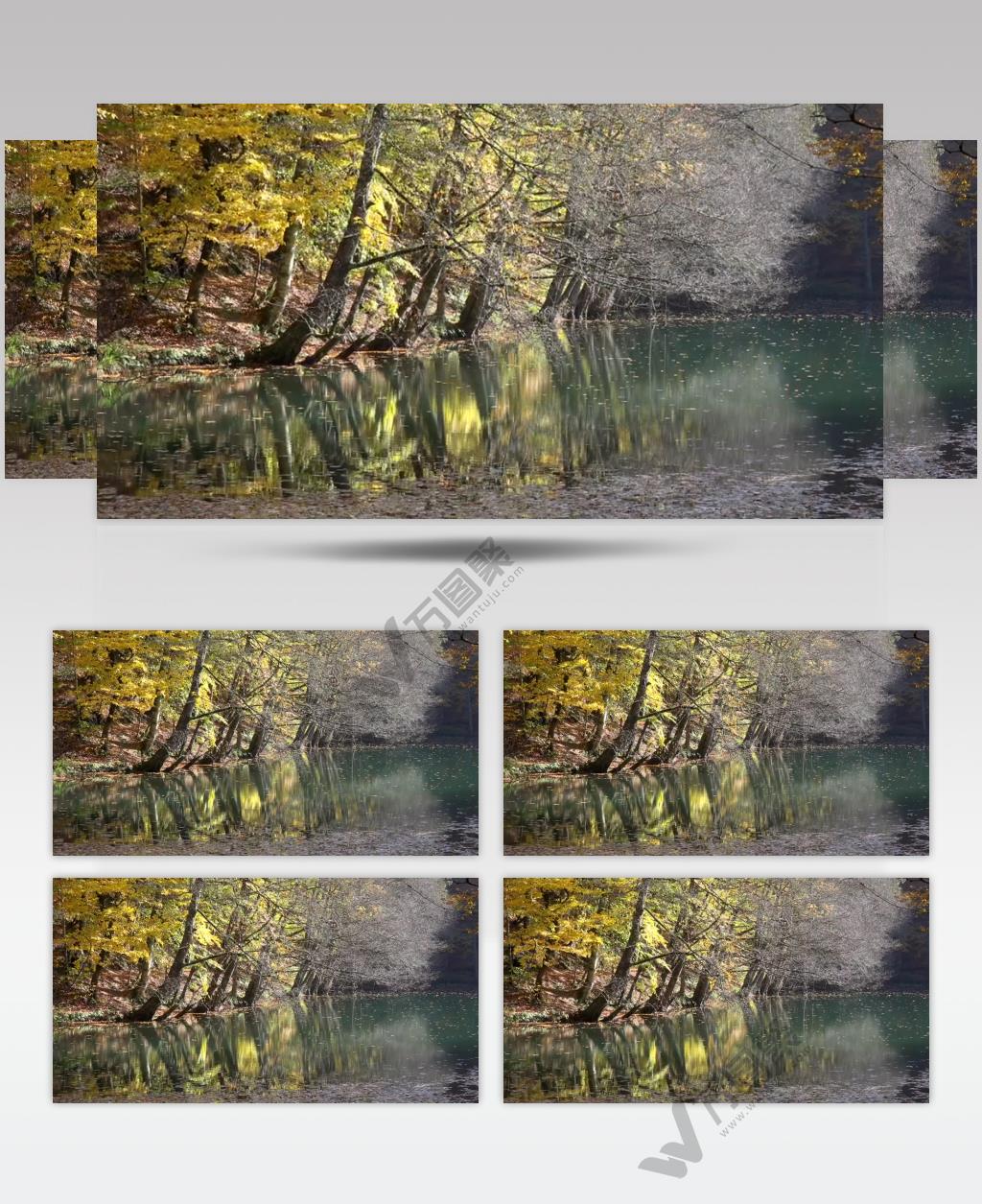 秋天的森林和湖泊实拍视频