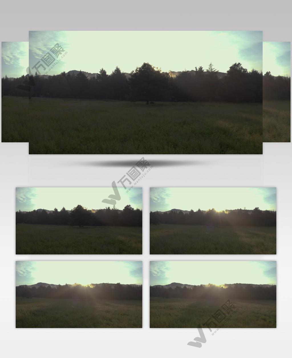 阴天清晨日出云雾森林实拍视频