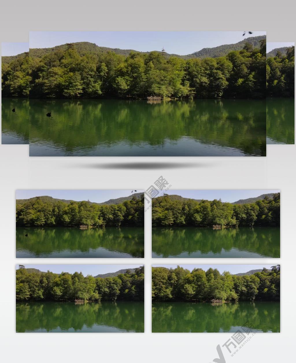 美丽的湖泊森林美景实拍视频