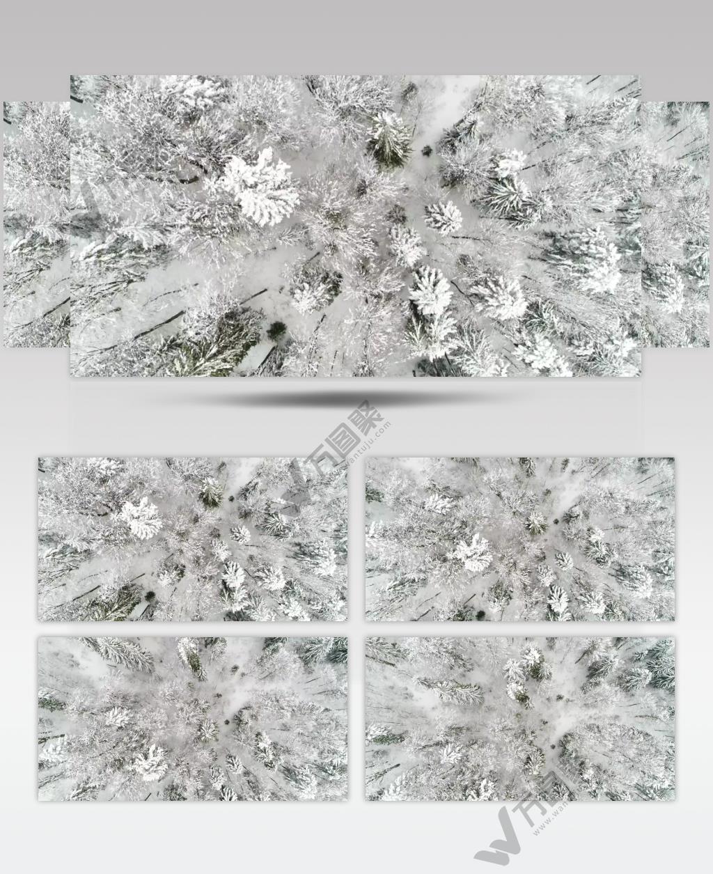 鸟瞰航拍冬季雪花森林实拍视频