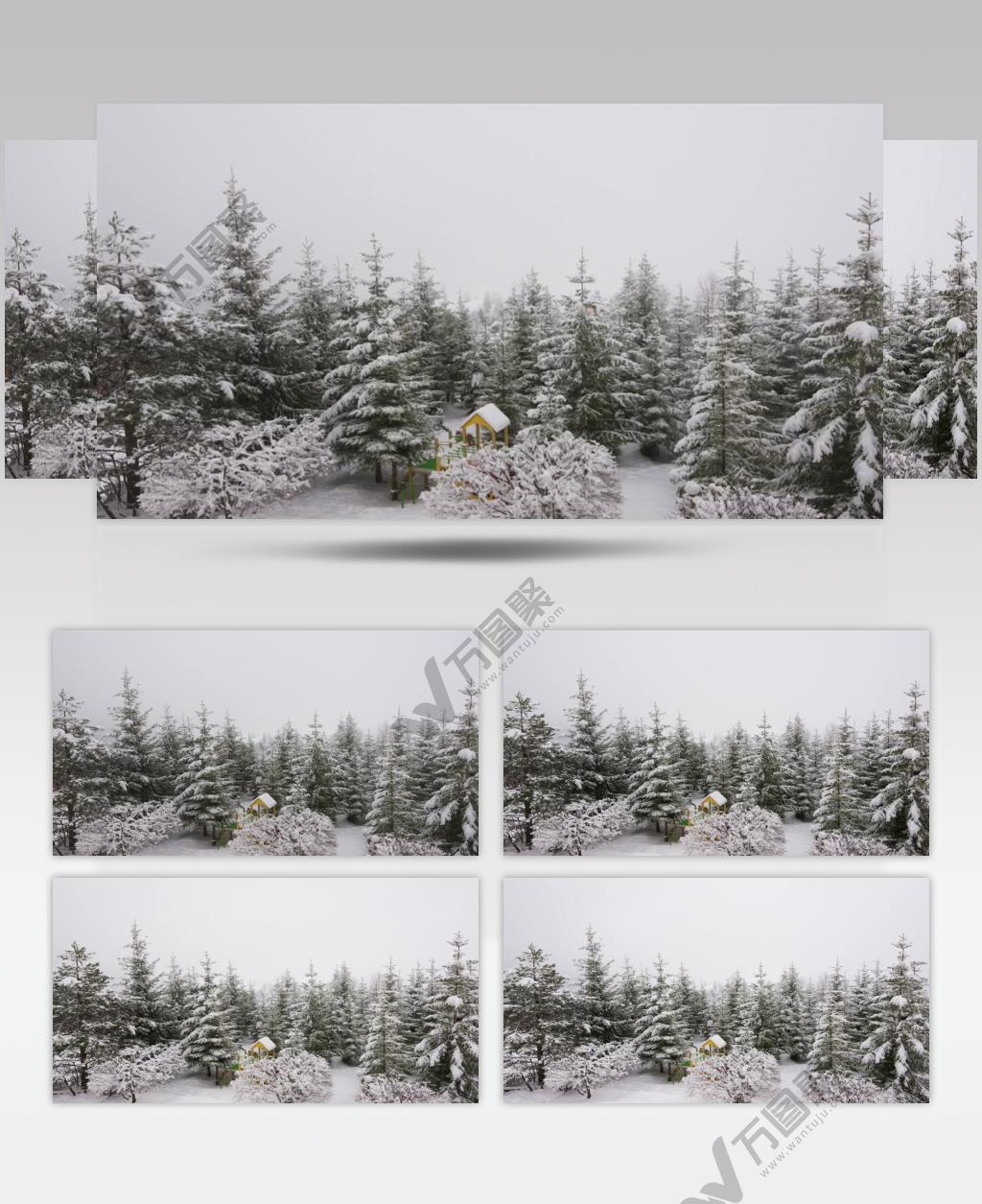 森林下雪美景实拍视频