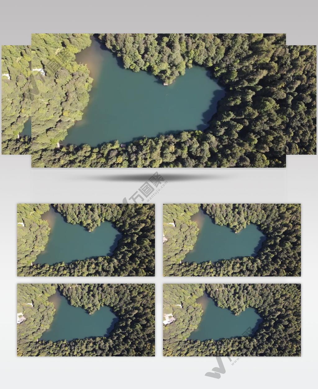 鸟瞰森林中树木间湖泊实拍视频