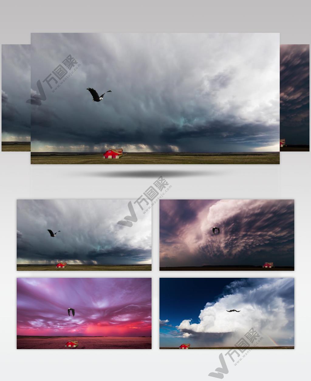 4K大鹰冲出乌云见彩霞壮景 