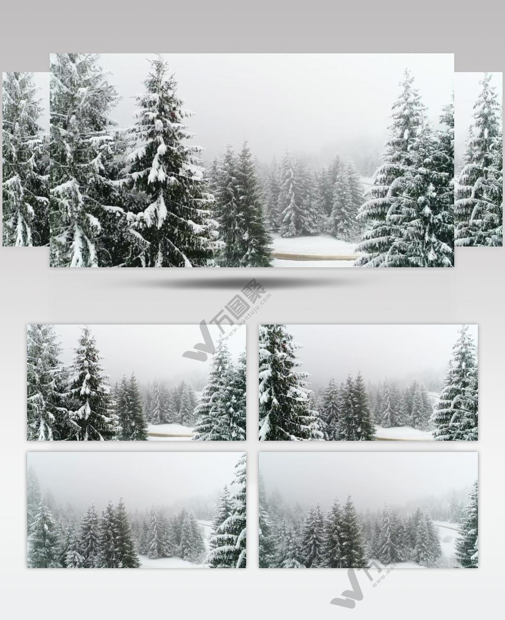 圣诞节冬季大雪纷飞的森林美景