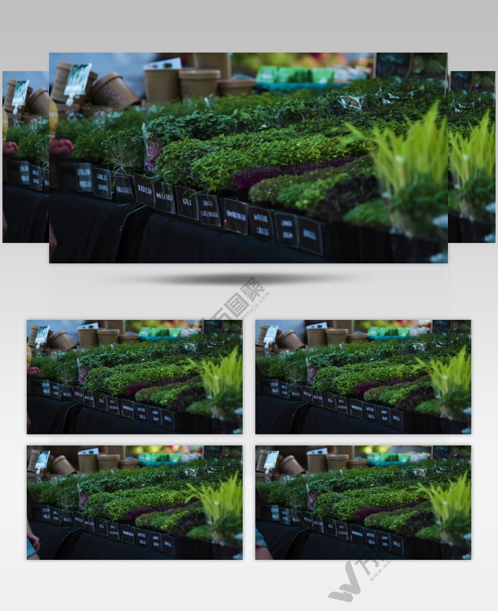 农贸市场的新鲜蔬菜特写视频