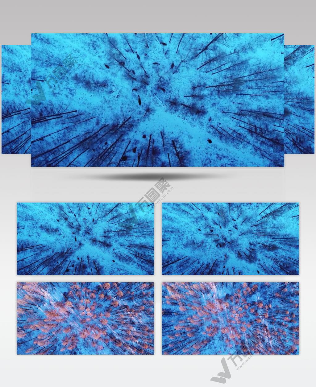 4K呼伦贝尔的冬季唯美雪景