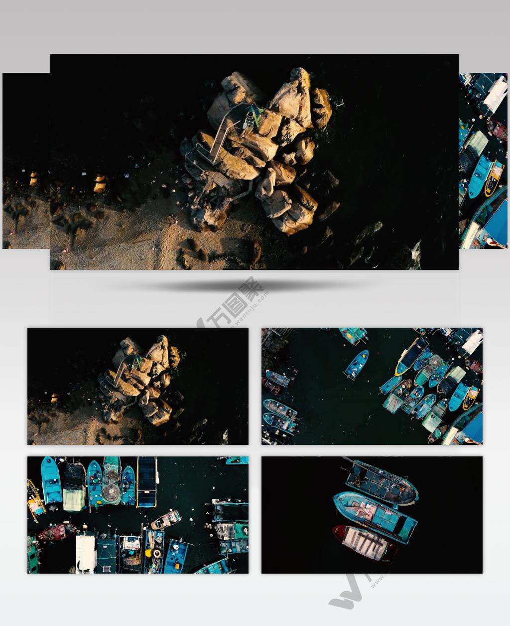 香港鲤鱼门海湾游船鸟