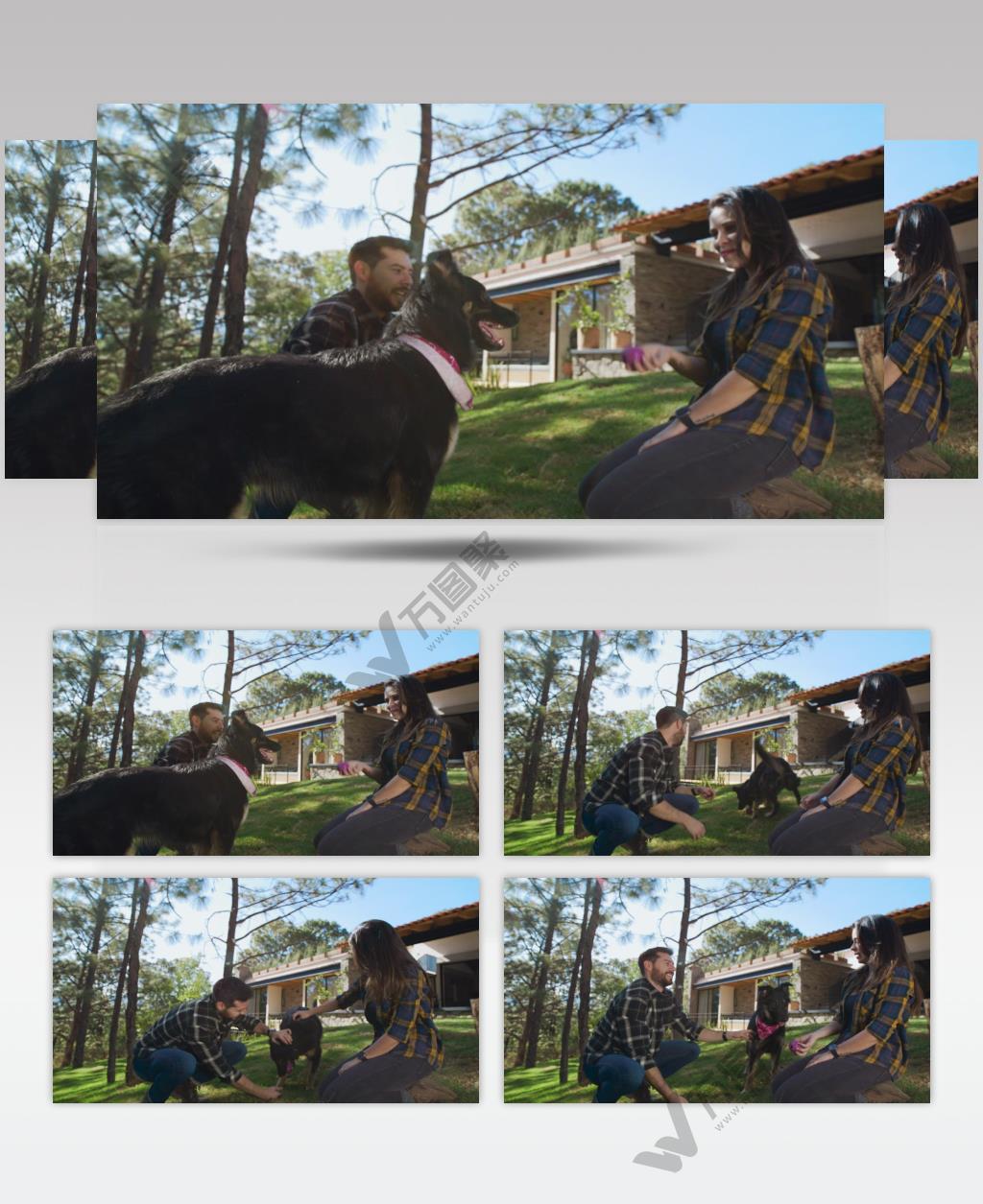 男人和女人在花园里逗一只带球的宠物狗玩耍