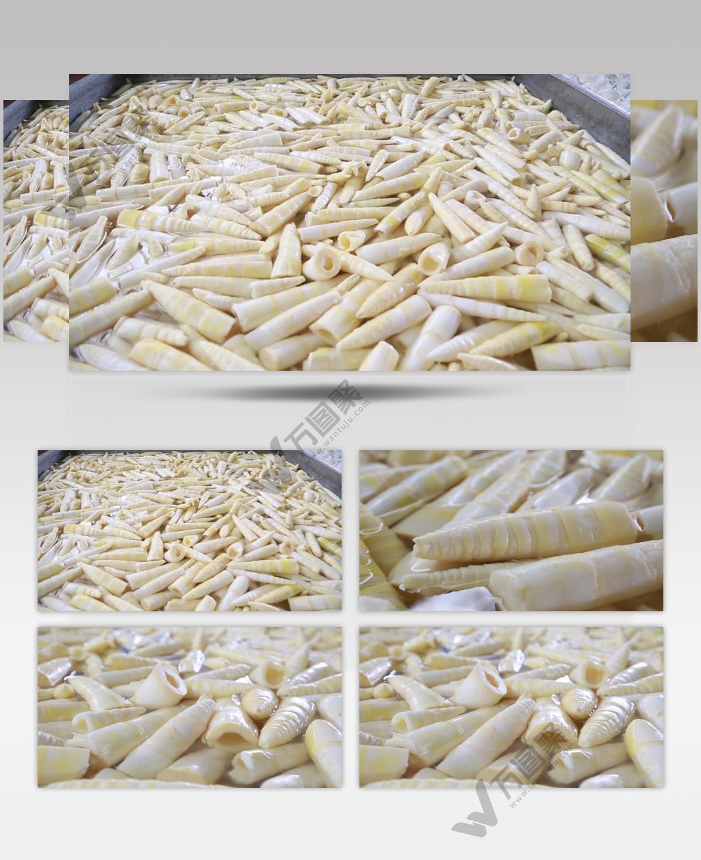 新鲜竹笋天然食材农副产品乡村特产农业视频素材