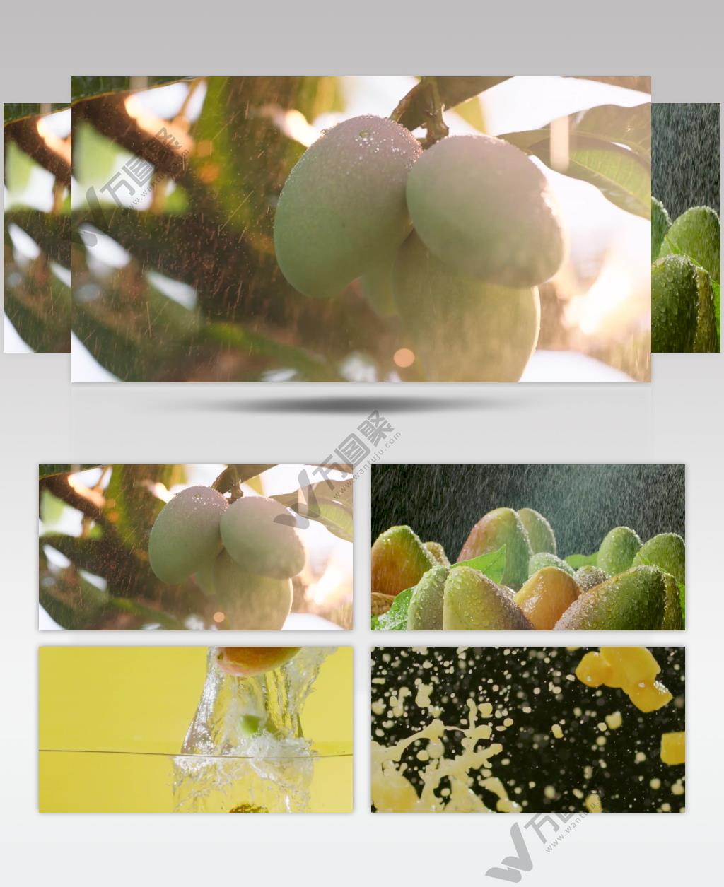 创意热带水果有机果园芒果果肉广告宣传视频素材