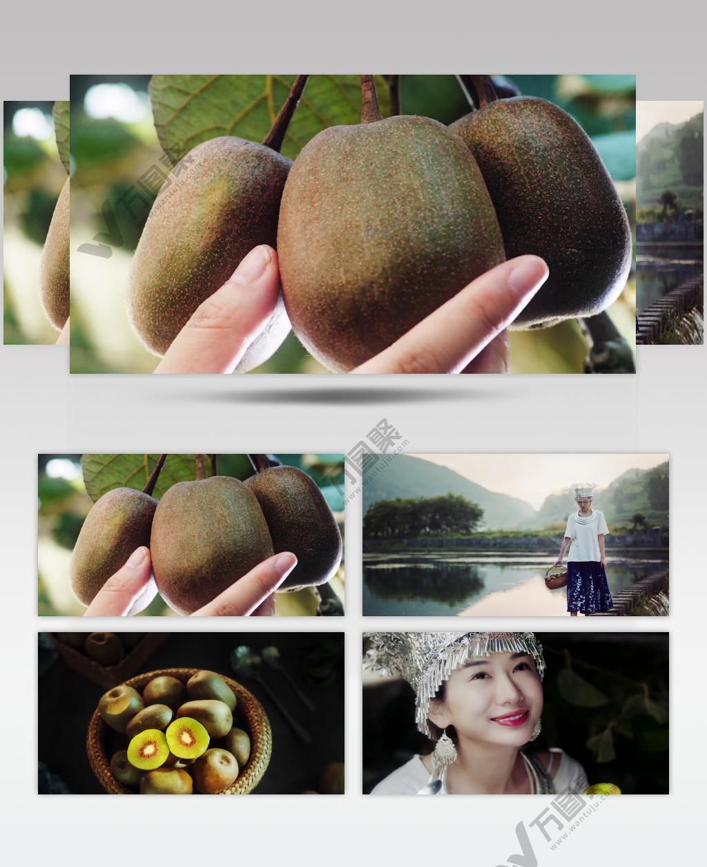 红心猕猴桃原生态水果宣传视频素材