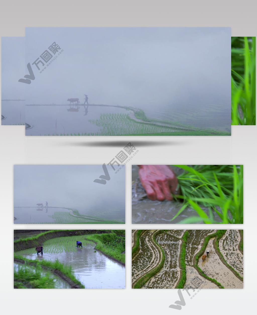 唯美美丽中国贵州风光梯田视频素材