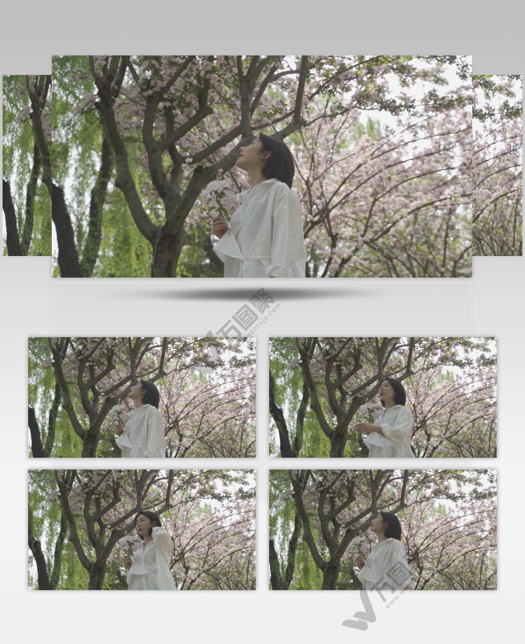 人物：樱花树下的美女