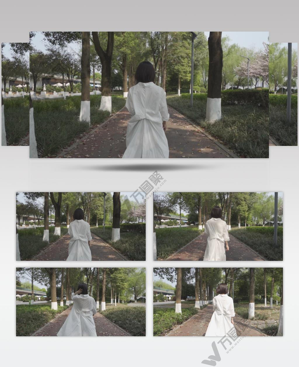 人物：美女背影