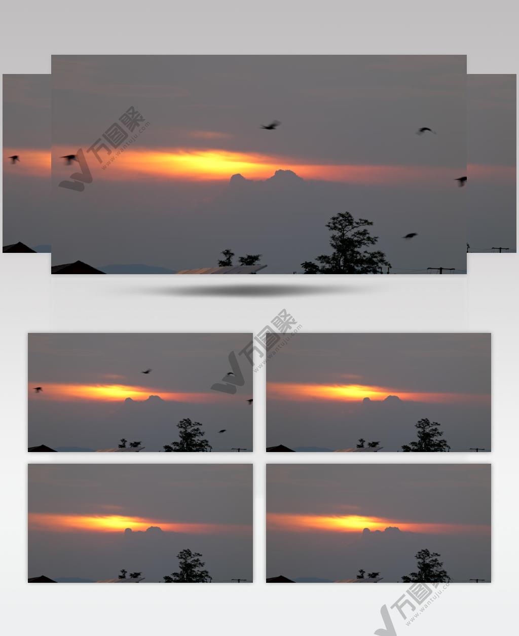 小鸟飞过绝美夕阳25