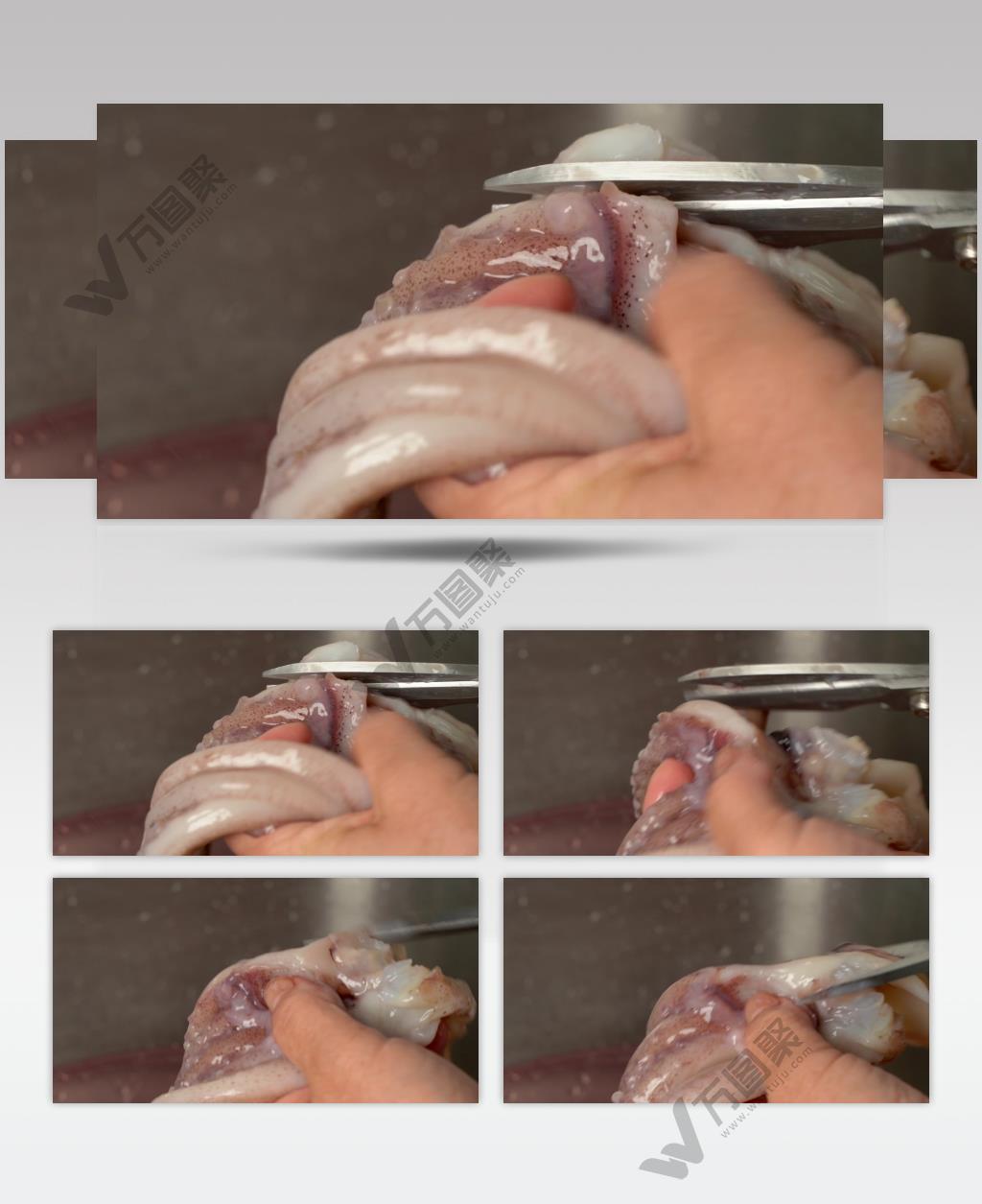 厨师处理食材鱿鱼