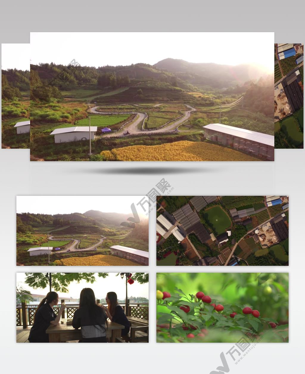 航拍绿色有机农业乡村旅游蓬勃发展视频素材