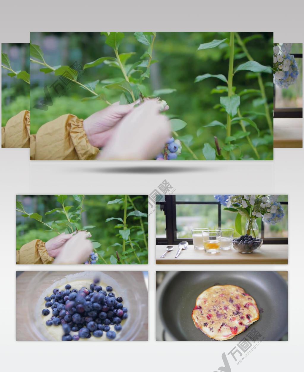 有机 种植 栽培 蓝莓 水果 鸡蛋 煎饼