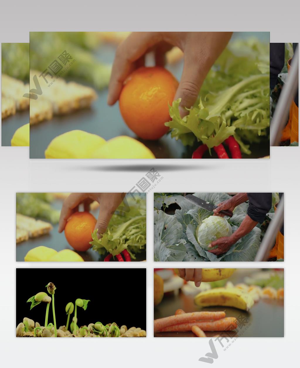 新鲜有机绿色果蔬农产品宣传视频素材