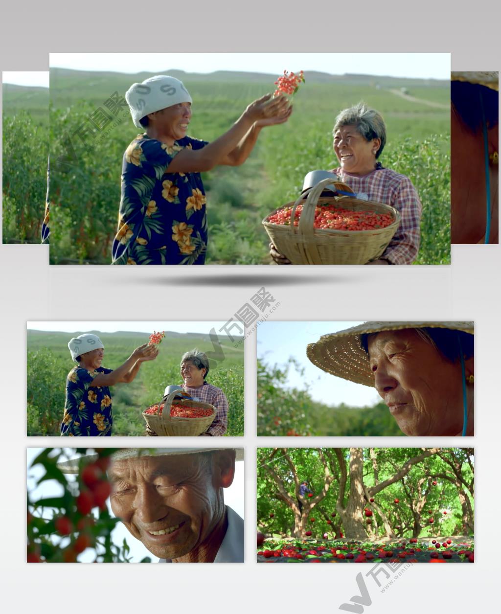 农民笑脸微笑视频素材