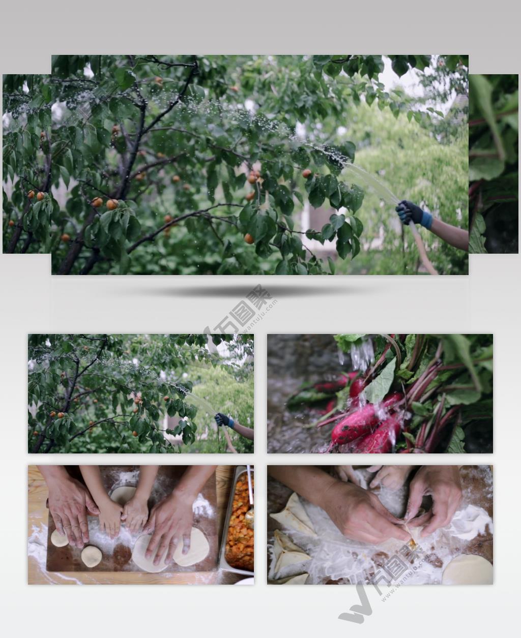 摘菜洗菜美食制作视频实拍