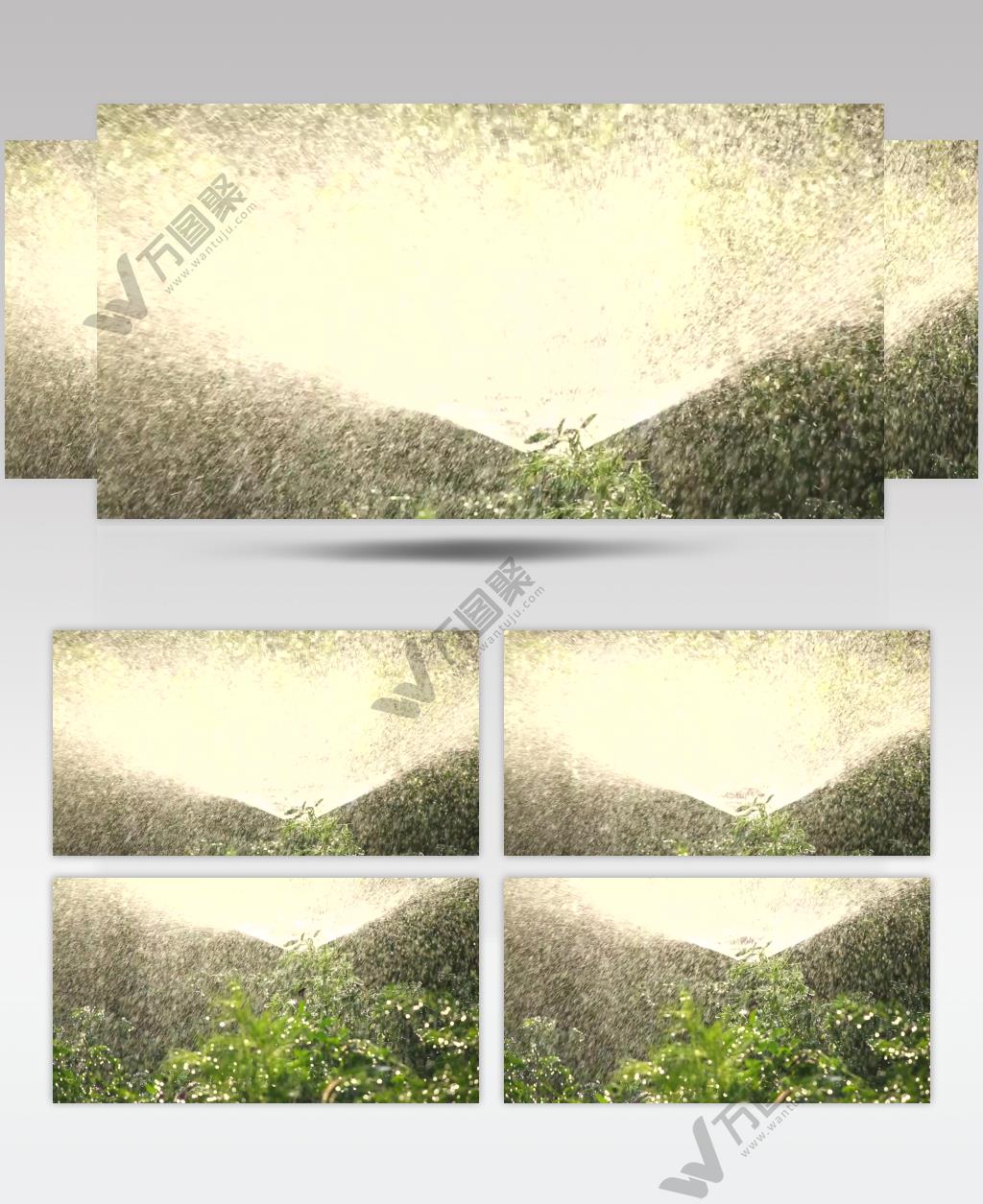 喷灌 滴灌 灌溉04