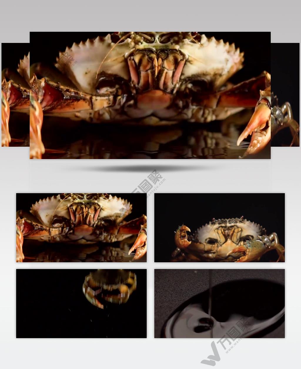 阳澄湖大闸蟹劲爆实拍视频