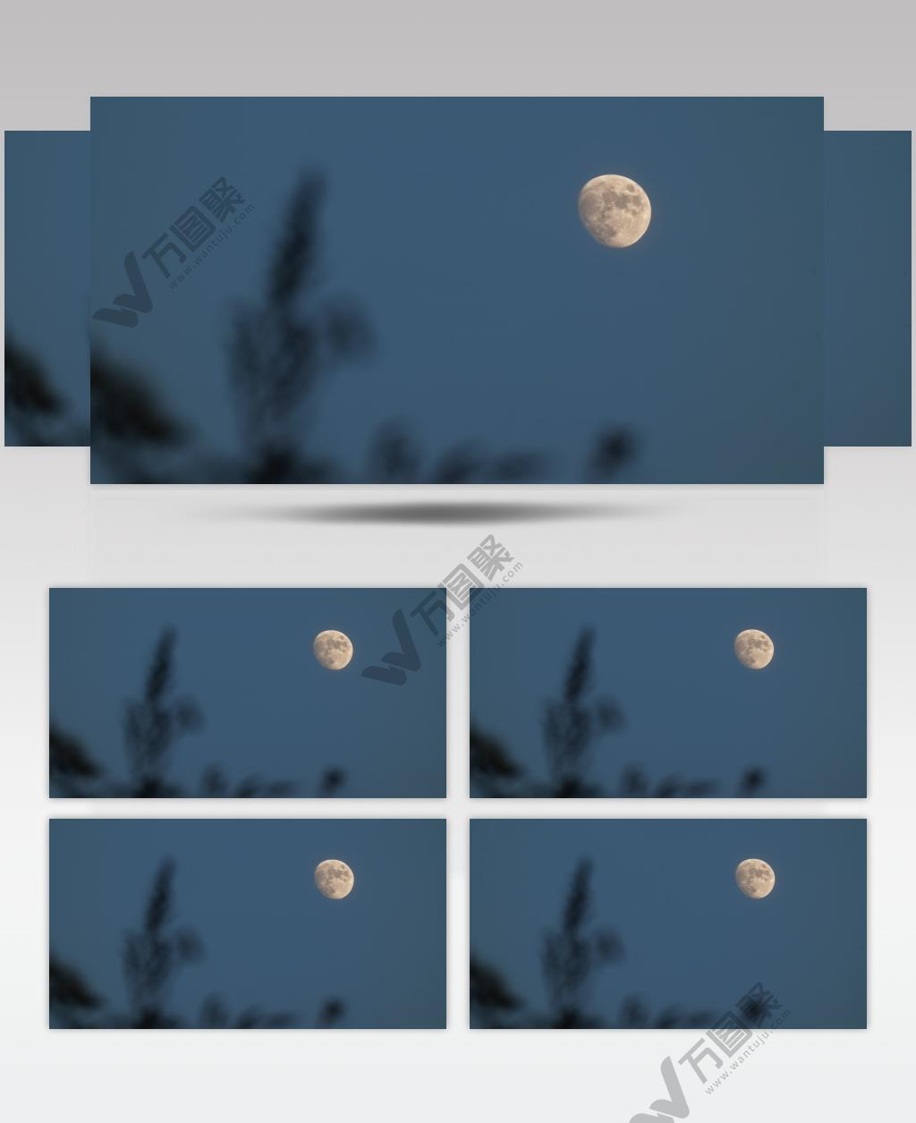 4K超柔美月亮月球