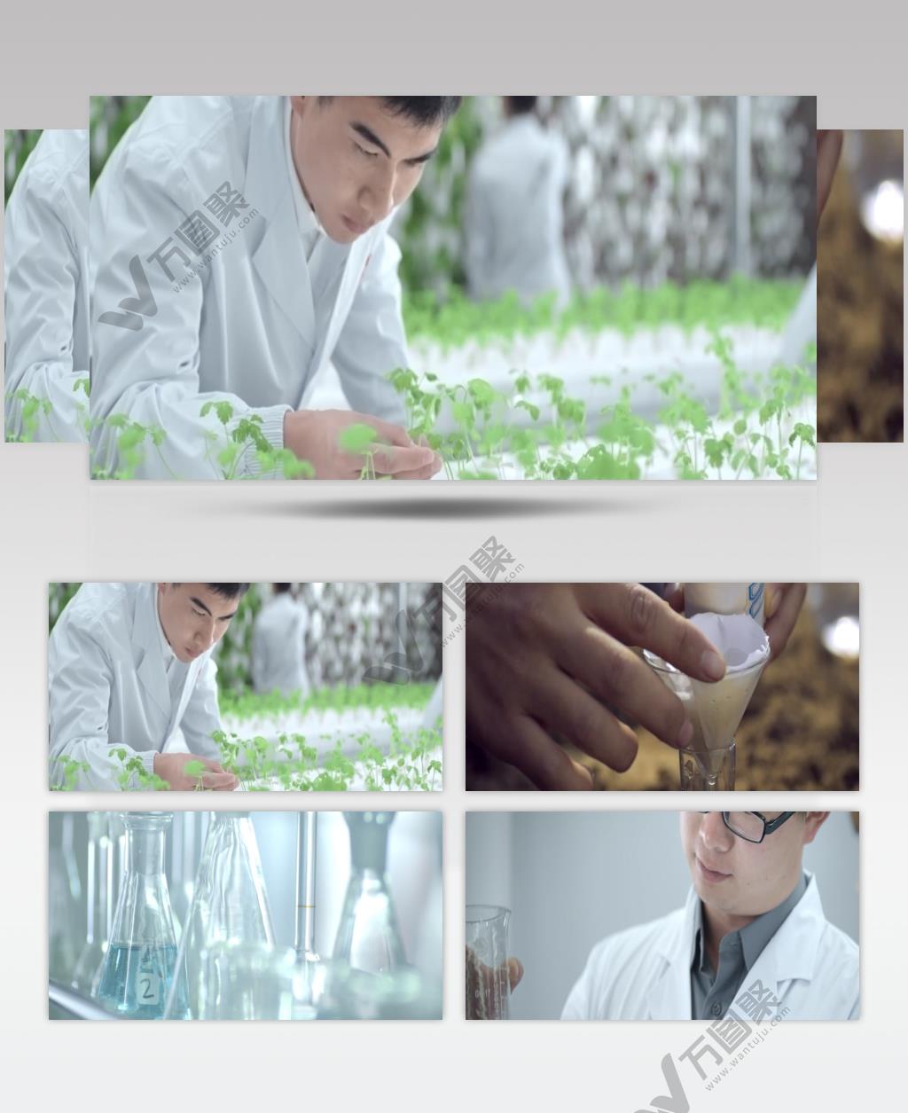 农业 水稻 玉米 种植 收割机 械化 研究 调研 农耕 劳作 干农活 实验室
