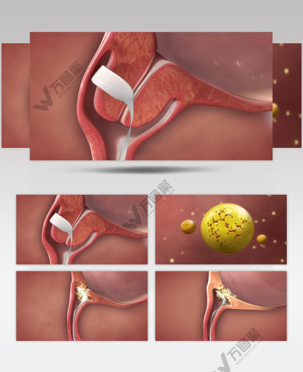 成熟孕妇胎儿医疗三维机理动画视频素材