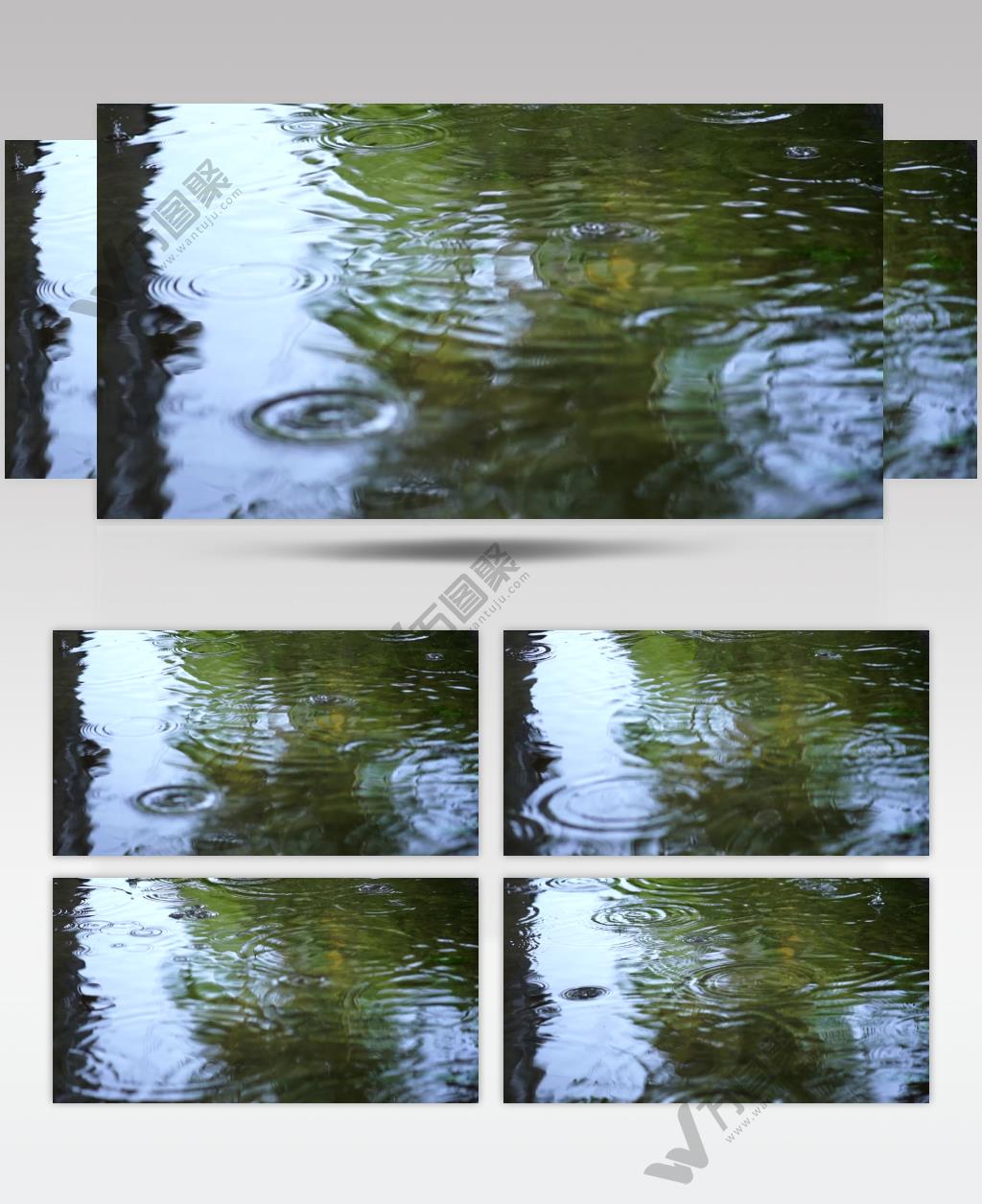 雨天 特写 自然 湖 水 下雨 雨 特写镜头