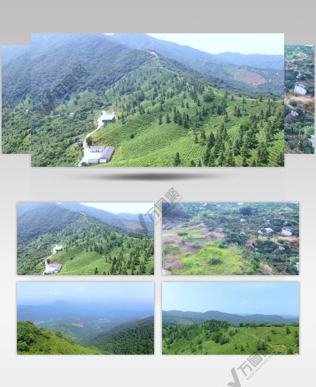 高清航拍灵山朱堂信阳毛尖茶园风景视频