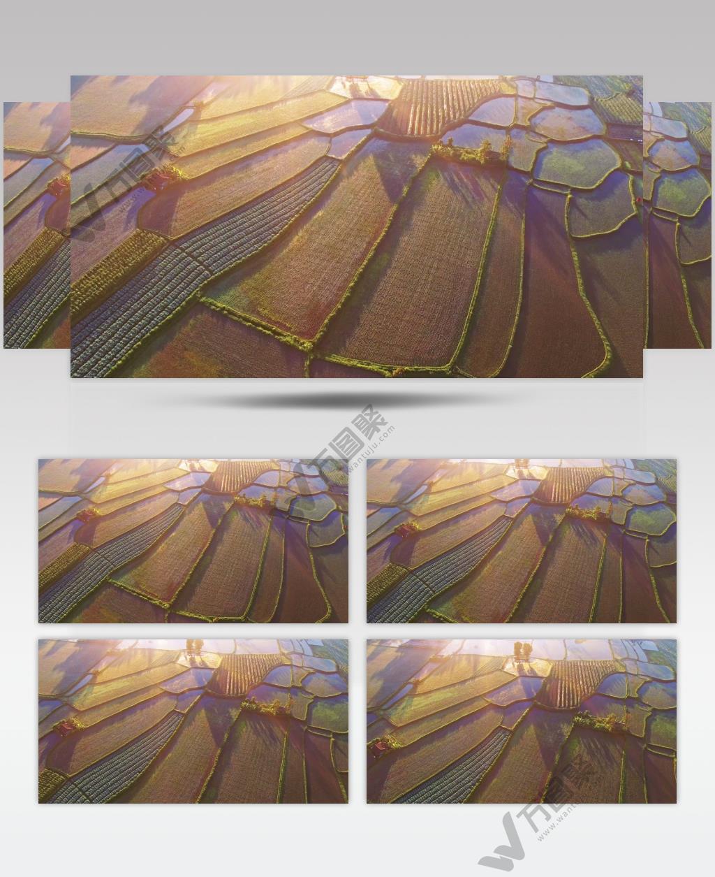 航拍唯美震撼一望无际梯田农业风光背景视频