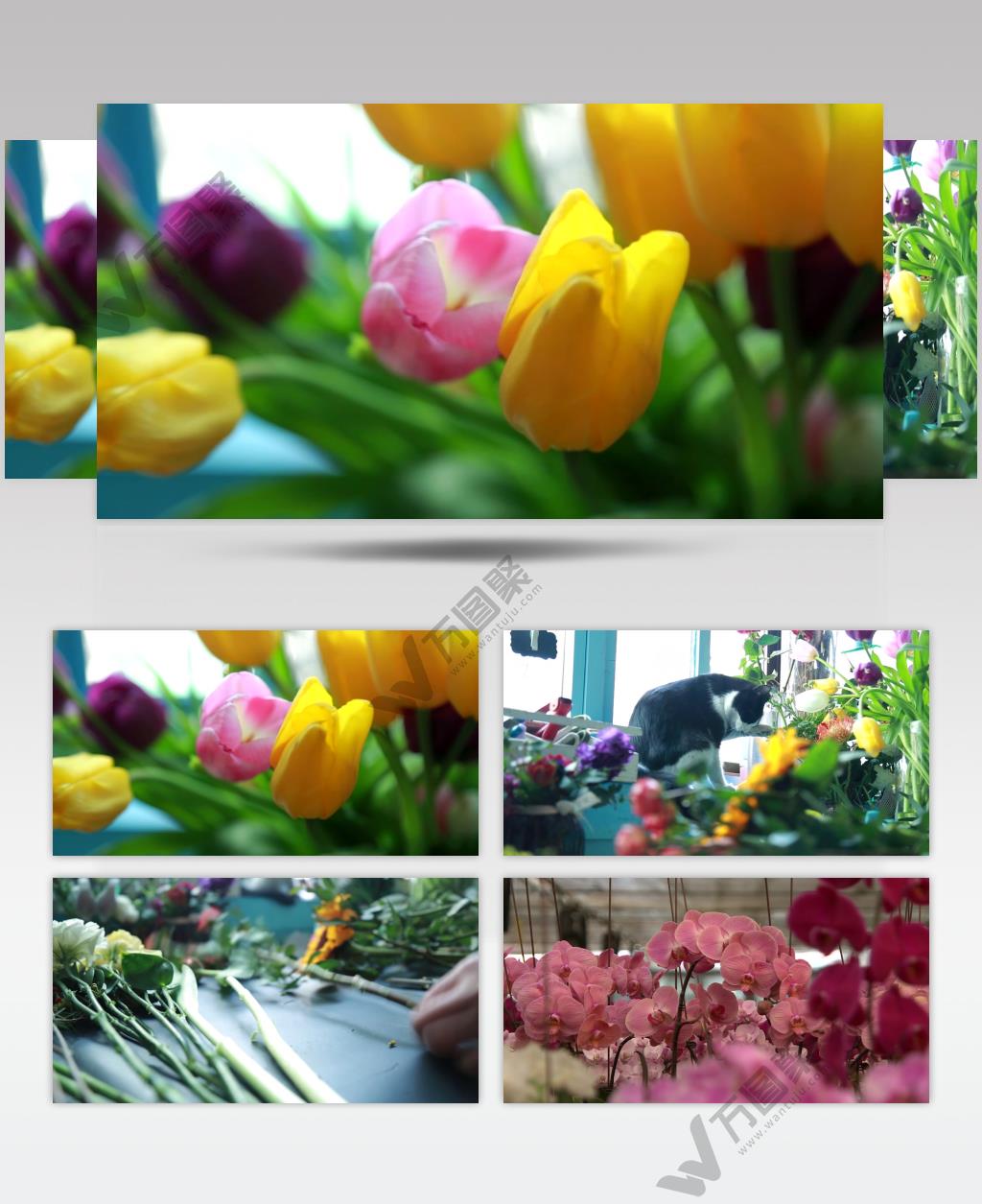 鲜花花店手工插花花卉大棚种植花卉市场视频