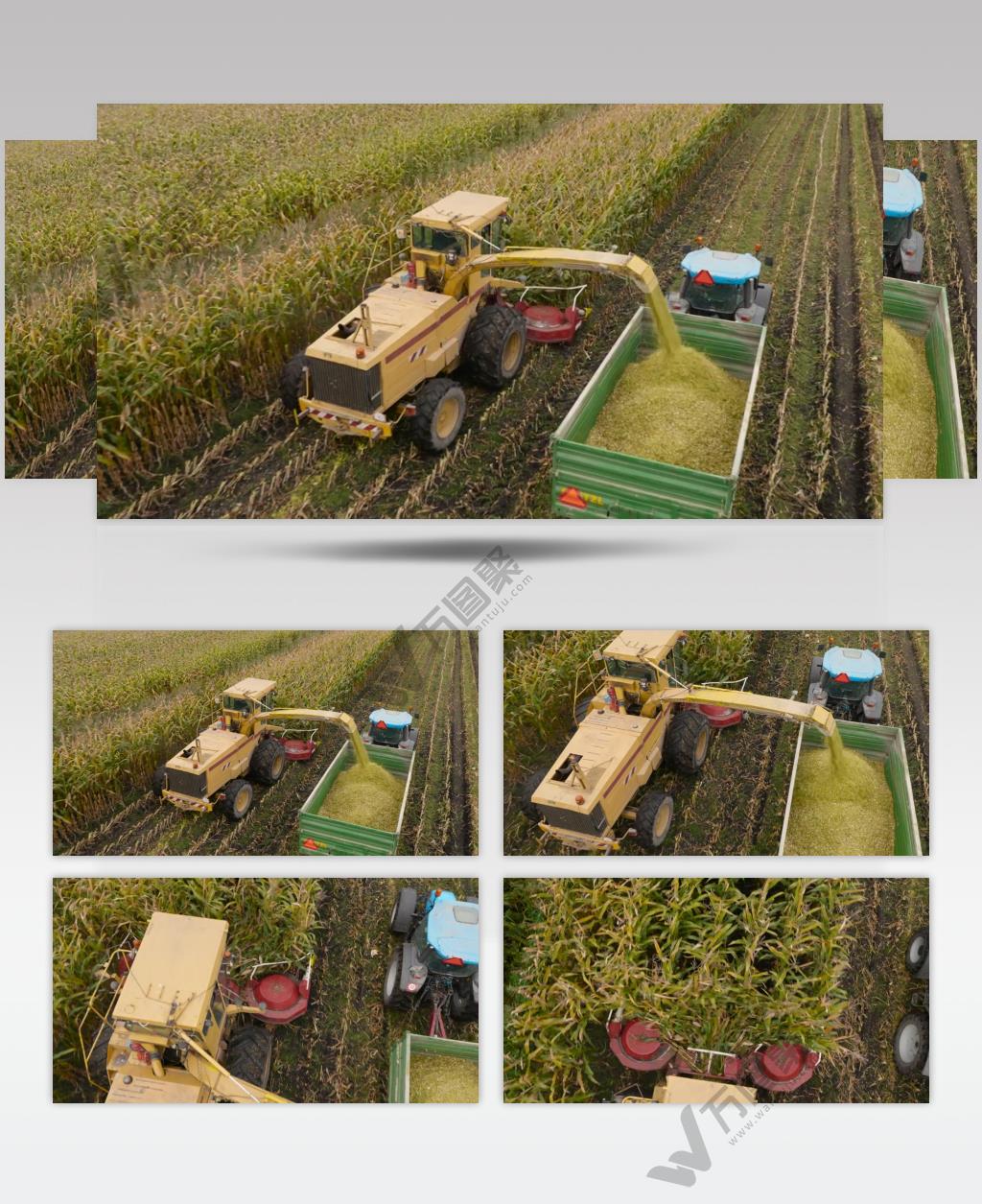 广阔农田农业生产现代农业经济发展视频素材