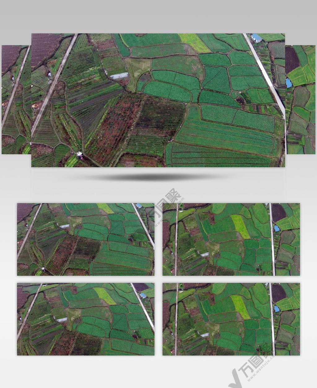 航拍乡村农田唯美自然风光高清背景视频