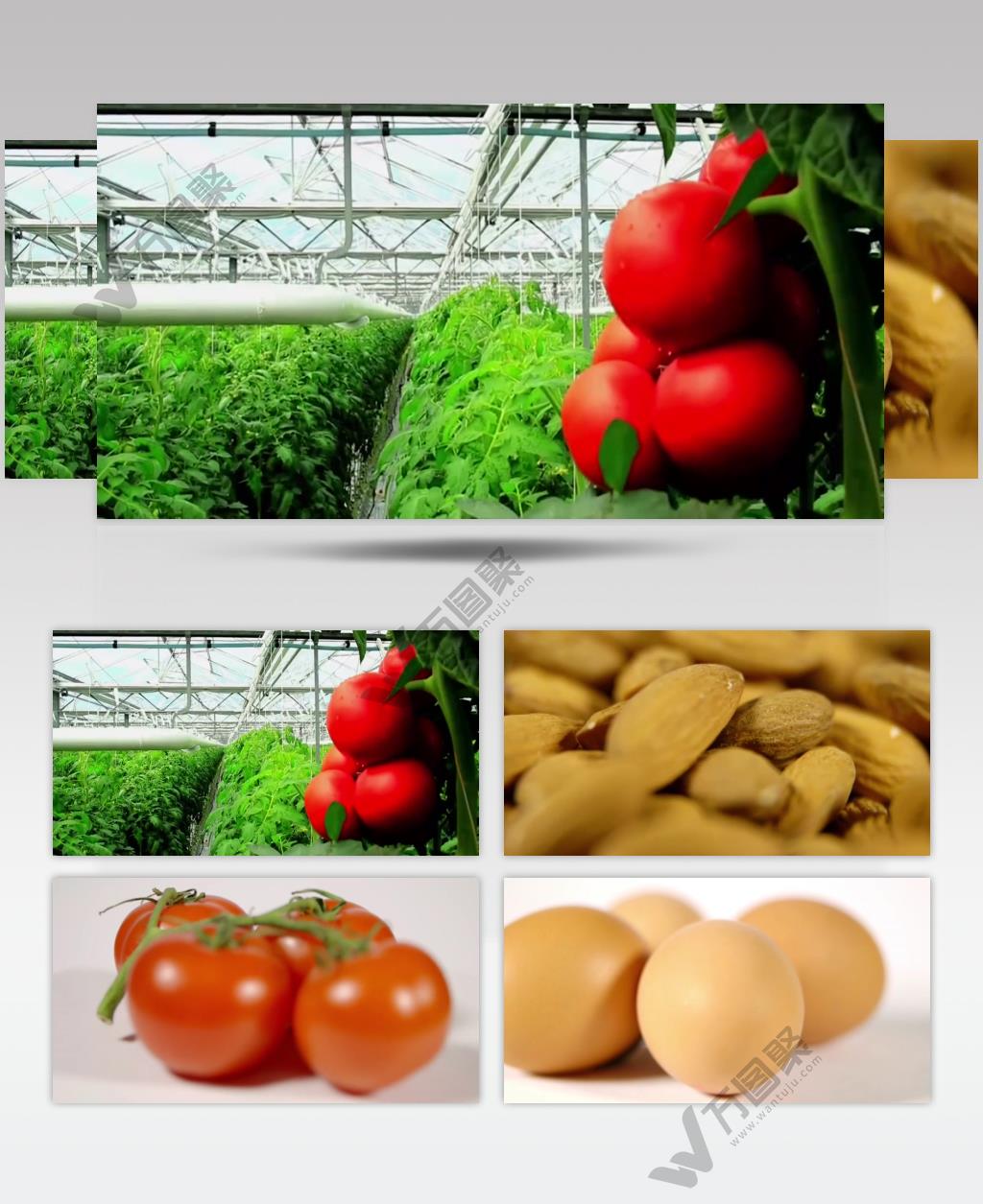 一组食品食物食材特写视频素材-鸡蛋西红柿