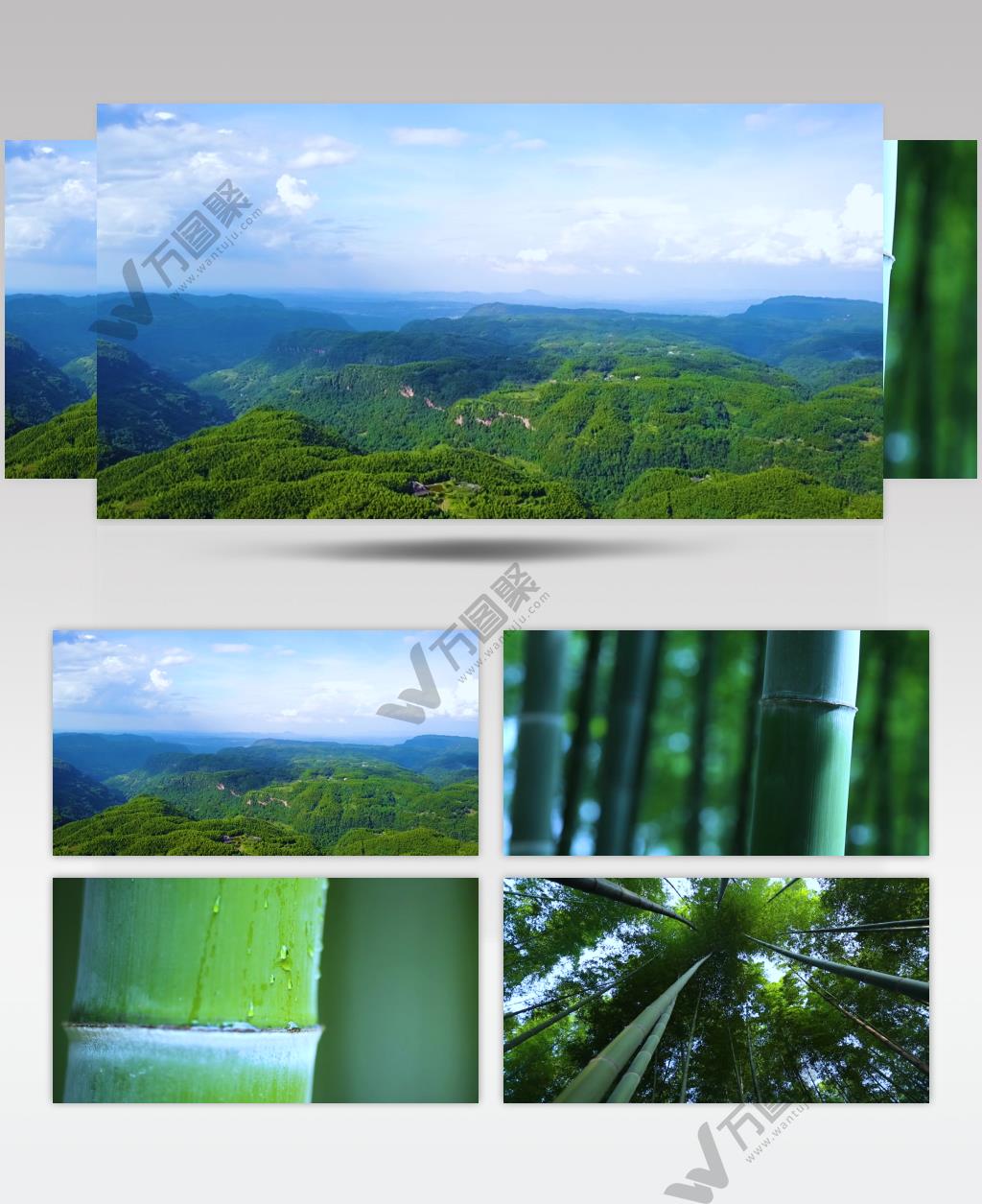 竹海 竹林竹子 风景 航拍素材实拍