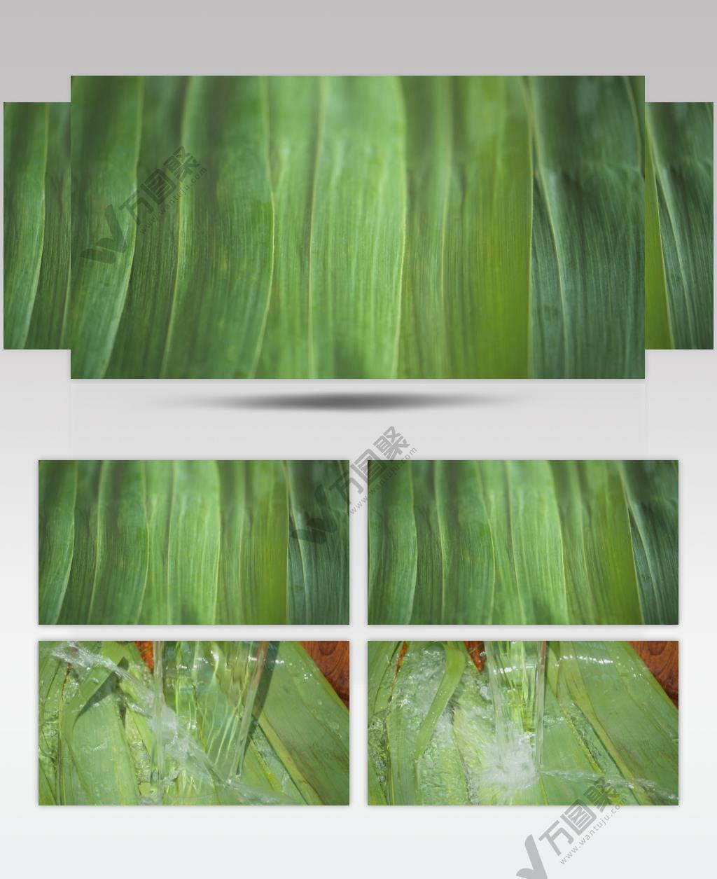 端午节包粽子清洗粽叶慢镜头升格