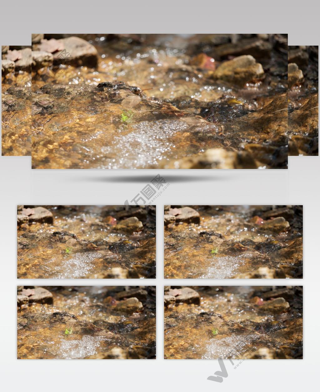 泉水小溪4K实拍镜头