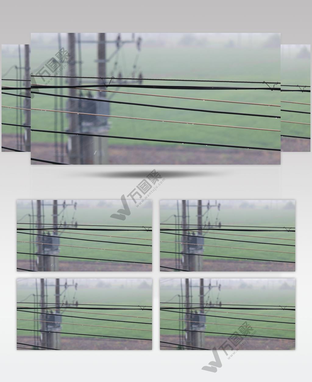 大雨中的电线杆4K实拍