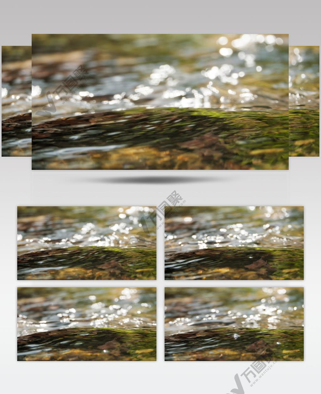 泉水小溪实拍镜头 (5)