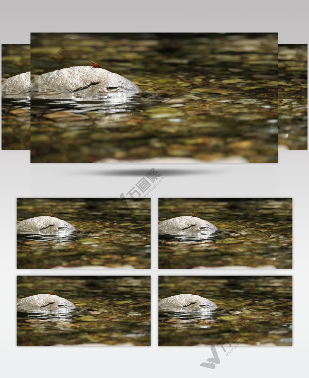 泉水小溪瀑布实拍镜头 (1)