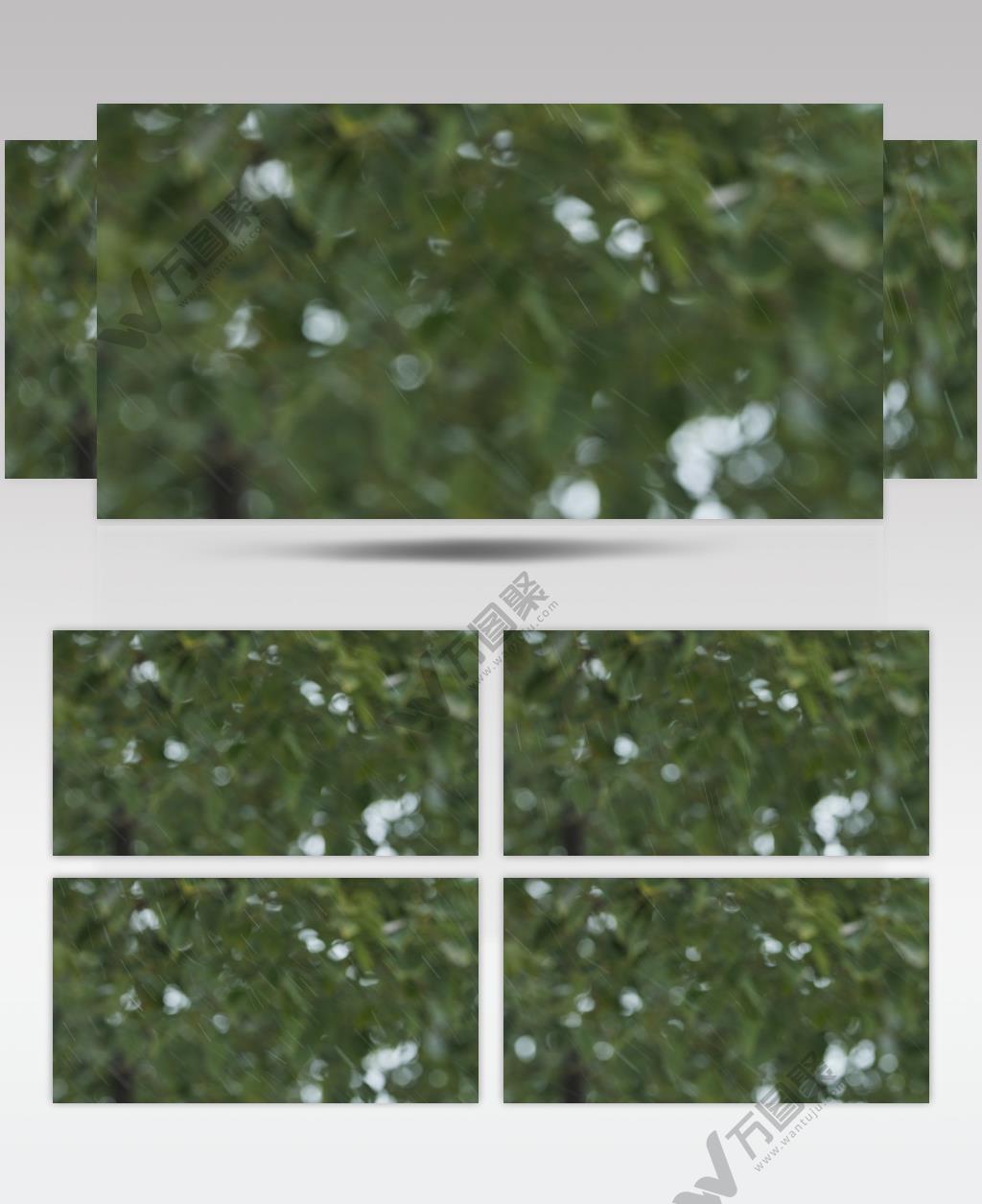 下雨雨点4K实拍