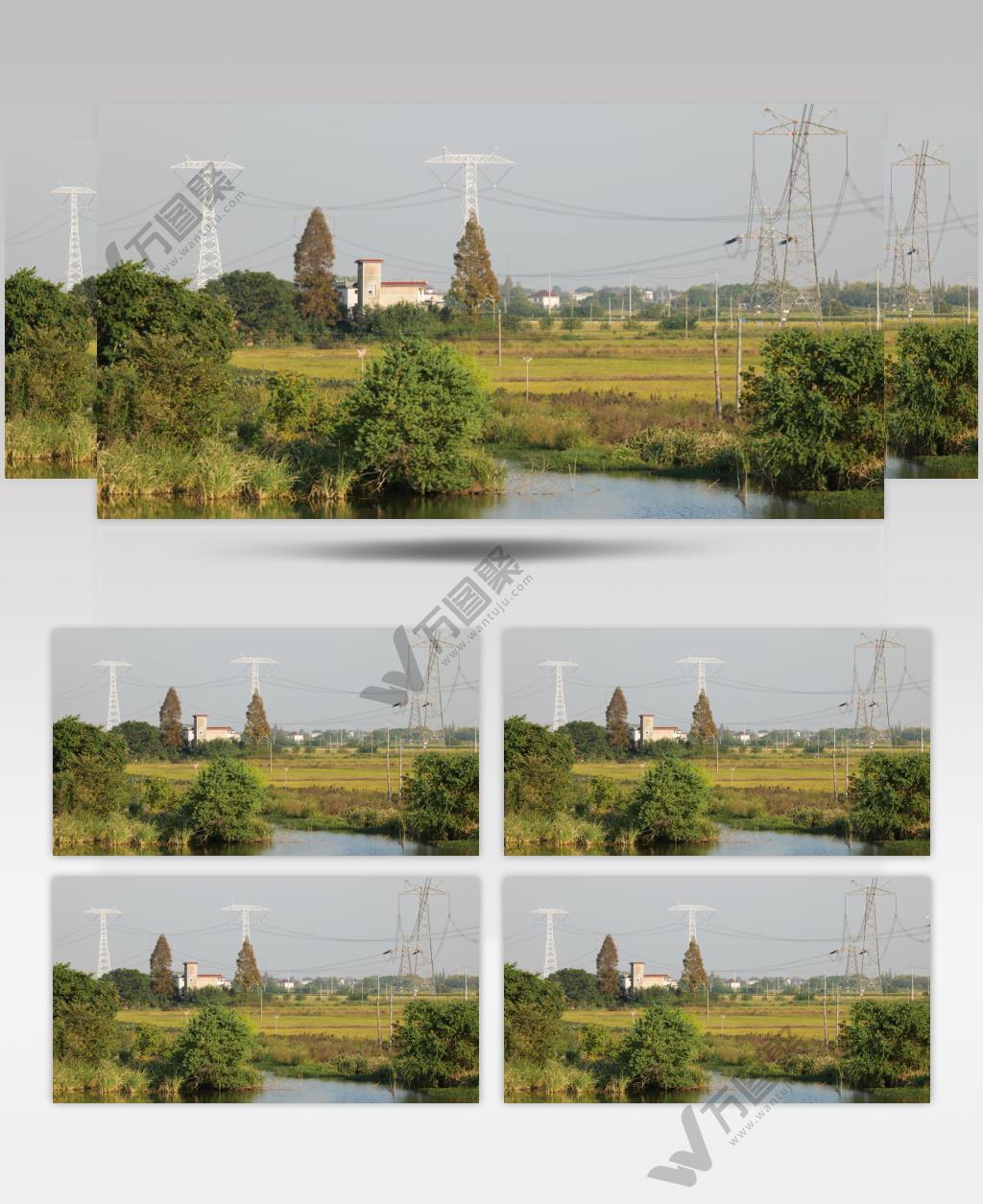 农村水稻田野电塔池塘风景