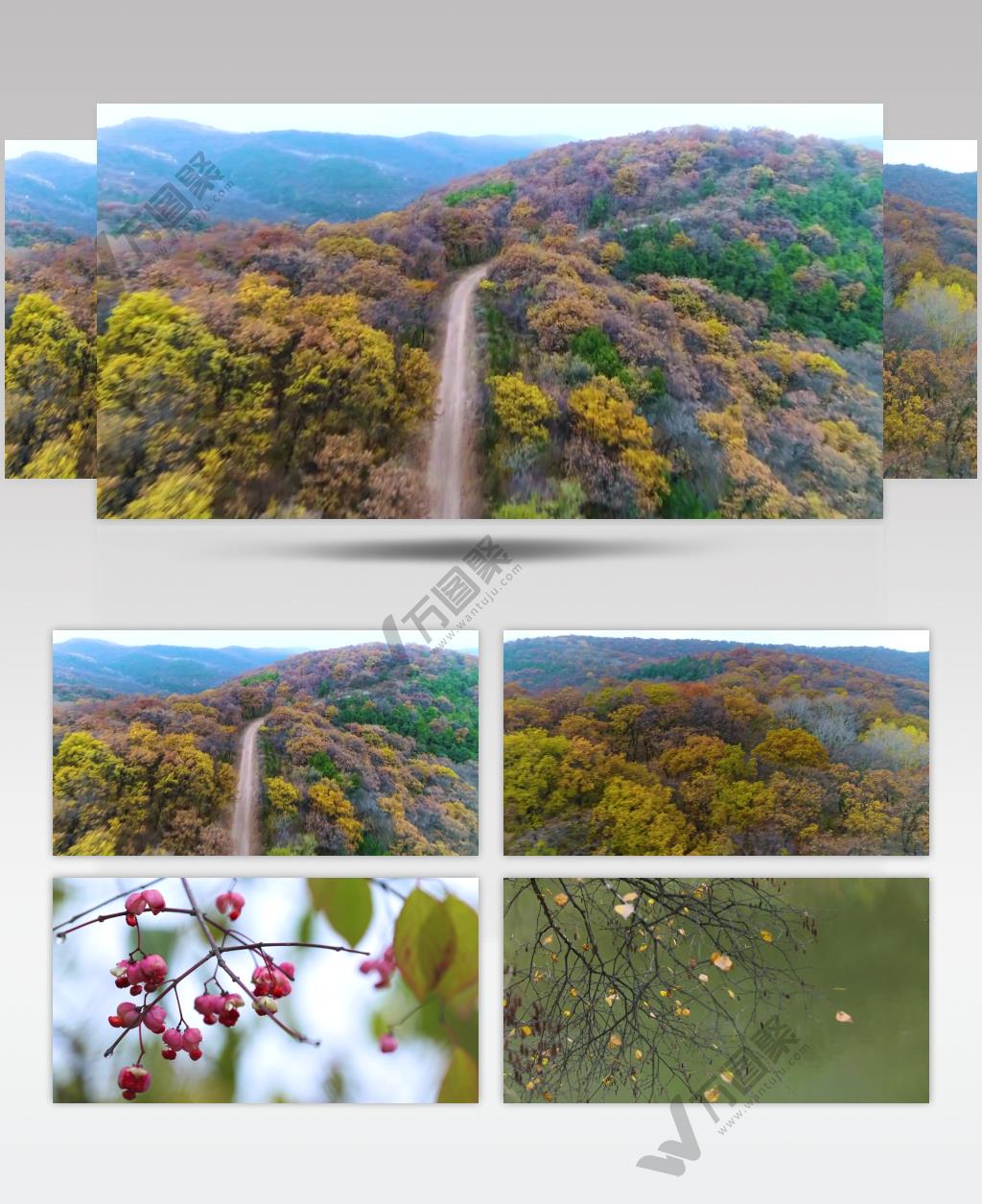 五彩斑斓行摄子午岭山川树林视频素材