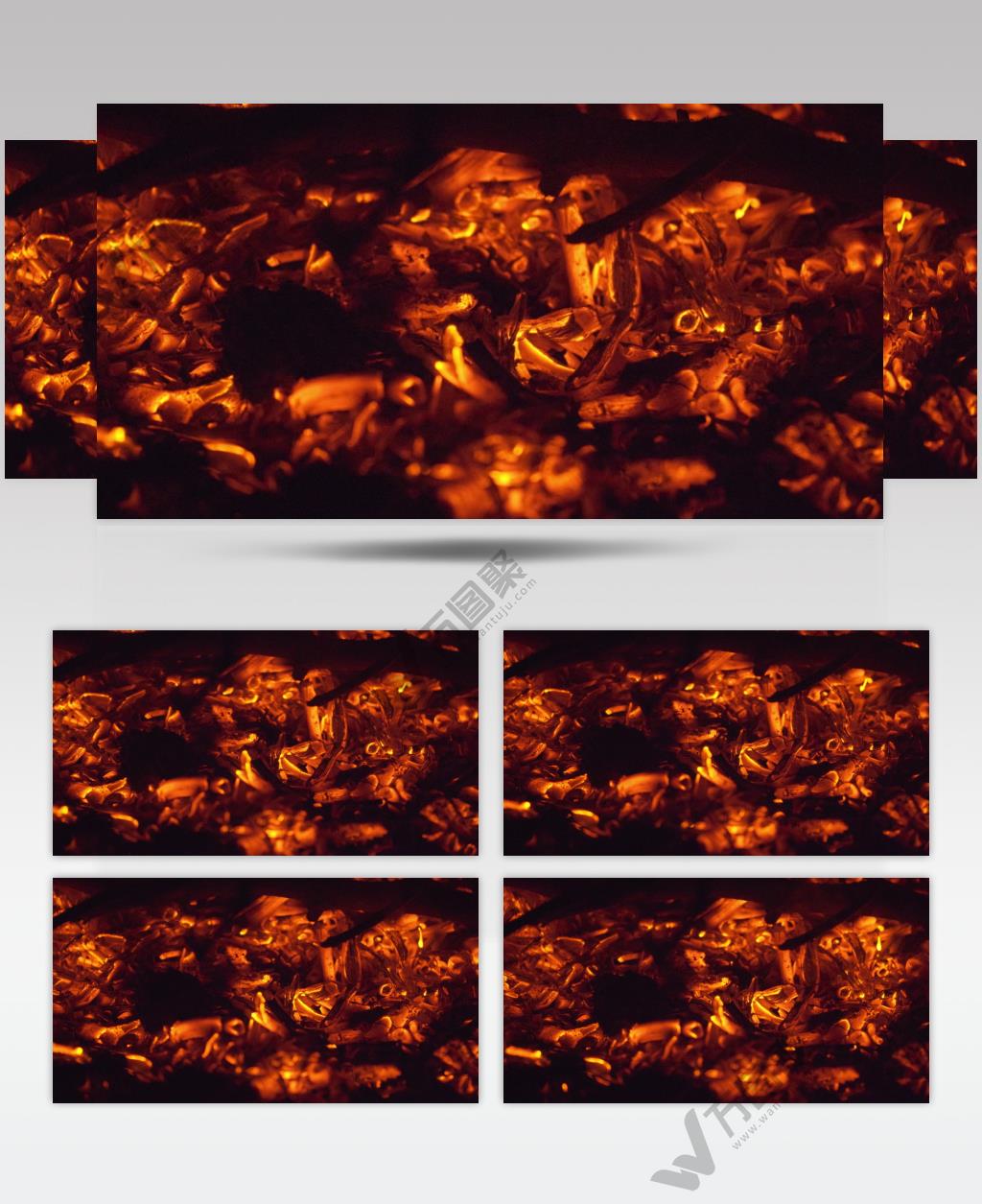 篝火木炭柴火燃烧火焰草木灰