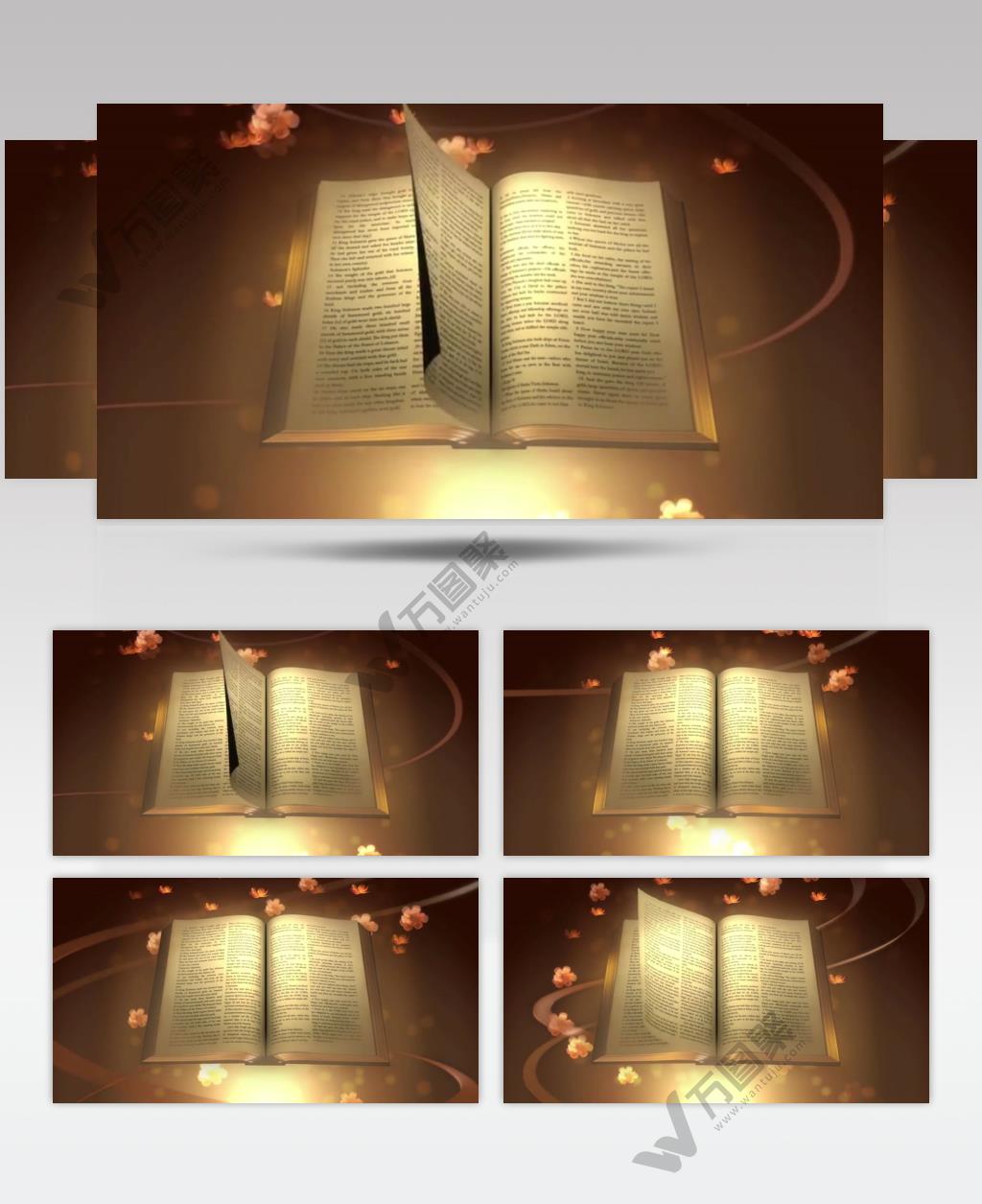浪漫鲜花背景圣经翻页视频背景素材